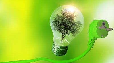 A light bulb with a tree inside symbolizes green energy. A green electrical plug extends from the bulb against a bright green background.