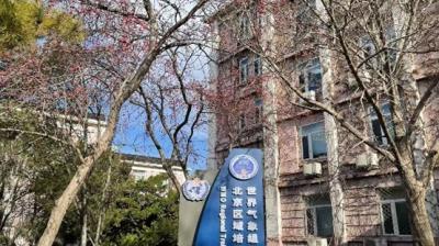 A blue sign with white text stands in front of a building with pink blossoms and trees. The building has multiple windows and an air conditioning unit.