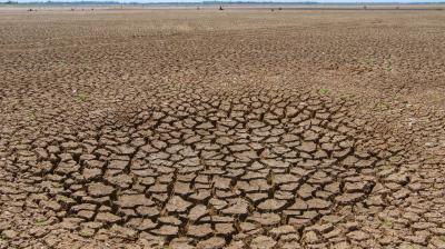 Cracked, dry earth extending to the horizon, with a clear sky above and few small plants visible in the distance.