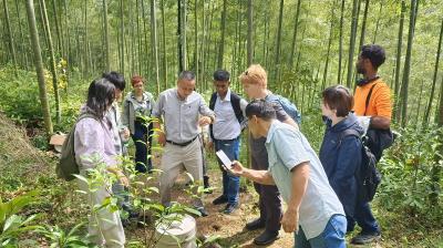 A group of people gathers around a guide in a bamboo forest, observing plants. A person takes notes or photos.