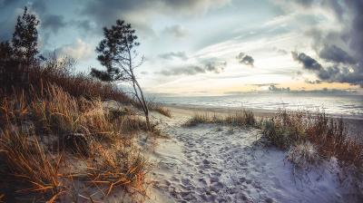 A sandy beach path lined with grass and small trees leads to the ocean under a cloudy sky at sunset.