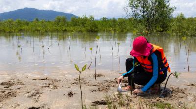 A person in a reflective vest and red hat is planting a seedling by a river, with mountains and trees in the background.