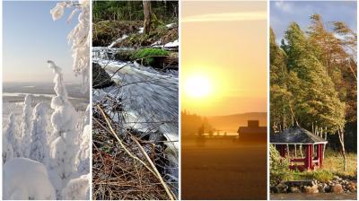 A collage of four seasonal images: snowy trees in winter, a rushing stream in spring, a sunset over fields in summer, and wind-blown trees by a cabin in autumn.