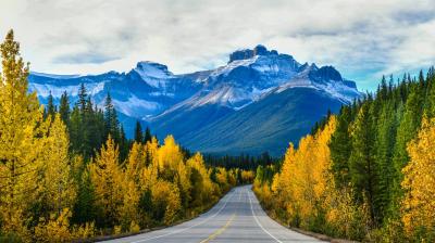 A paved road leads through a forest of yellow and green trees, toward a snow-covered mountain range under a cloudy sky.