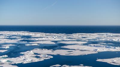 Ice floes floating on a vast ocean under a clear blue sky, showcasing a polar seascape.