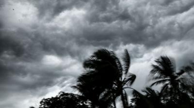 Dark storm clouds loom over swaying palm trees, indicating strong winds and impending rain.