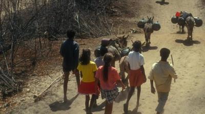 A group of people and donkeys carrying goods walk along a dirt path in a dry, sparse landscape with leafless trees.