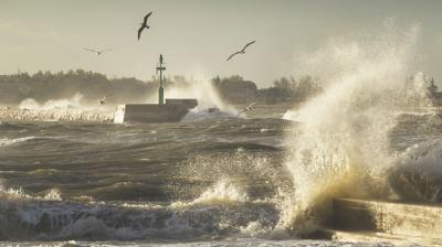 Rough waves splashing against a pier with a green beacon; seagulls flying above; shoreline and trees visible in the background.