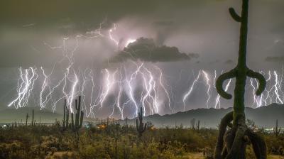 Multiple lightning bolts strike over a desert landscape with cacti and distant mountains at night, illuminating the cloudy sky.