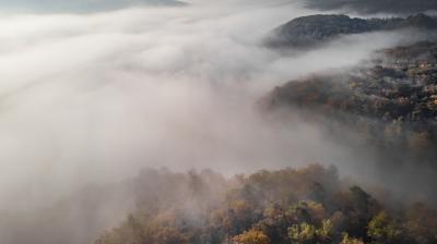 Aerial view of a forested landscape with rolling hills partially covered by dense fog under a cloudy sky.