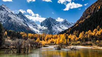 A clear lake reflects yellow autumn trees and snow-capped mountains under a bright blue sky with scattered clouds.