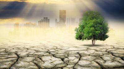 A green tree stands on dry, cracked earth with a hazy city skyline in the background under a partly cloudy sky with sun rays.