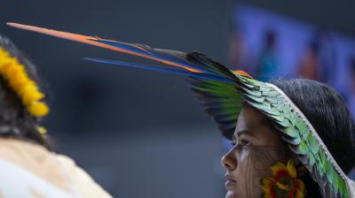 A woman wearing a feathered headdress and yellow flower earrings, with traditional face paint, is shown in profile against a blurred background.