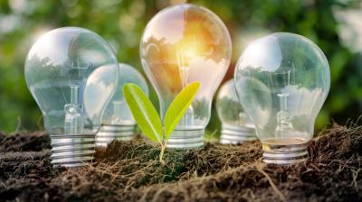 Four light bulbs and a green seedling are placed in soil outdoors, with sunlight shining through the background.