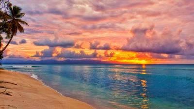 A sandy beach with calm blue water at sunset, palm trees on the left, and colorful clouds in the sky reflecting orange and pink hues.