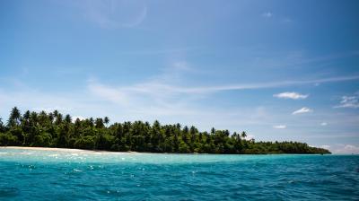 Tropical island with dense green palm trees, sandy beach, and clear blue ocean under a sunny sky.