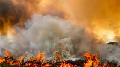 Large wildfire with thick smoke billowing into the air, flames burning through vegetation, and an orange sky in the background.