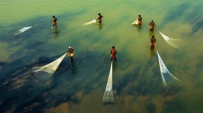 Six people stand in shallow water, each holding a long fishing net submerged in the greenish water, viewed from above.