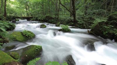 Photographer: Tsz-cheung Lee