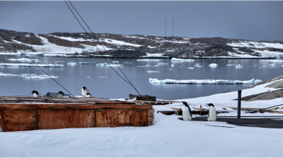 Photo caption (above): Antartica - abandoned Wilkins Base and Observing Station (courtesy Sue Barrell, Australia)