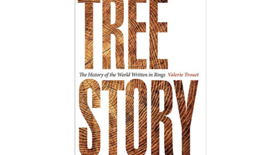 Tree Story Book