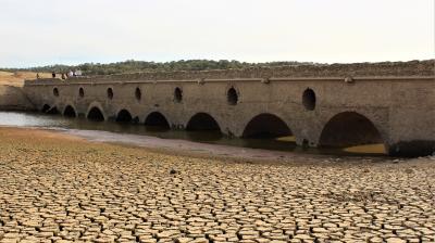 Desertification and drought day