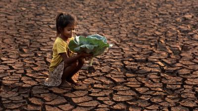 Multi-Hazard Early Warning Conference, Bali (AdobeStock Photo)