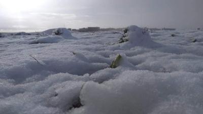 northeastern regions of Libya were affected by weather extreme