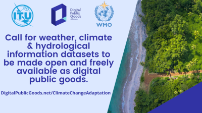 Digital public goods