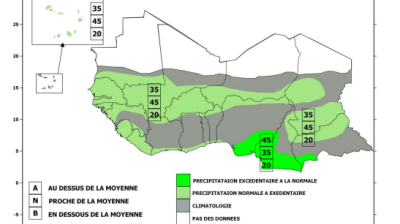 Precipitation forecast for Sahelian strip June-July-August 2020