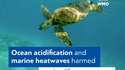 State_of_the_Climate_Digital_Card_Ocean_acidification_and_marine_heatwaves
