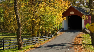 Courtesy of Shutterstock.com