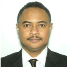 A man in a suit and tie is posing for a photo.
