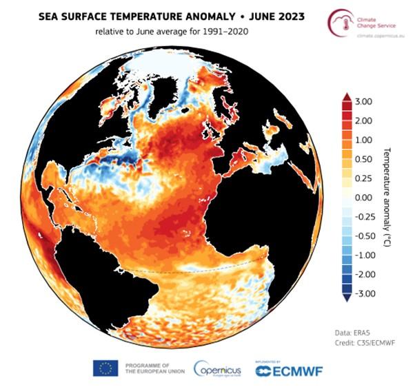 sea surface temperature anomaly