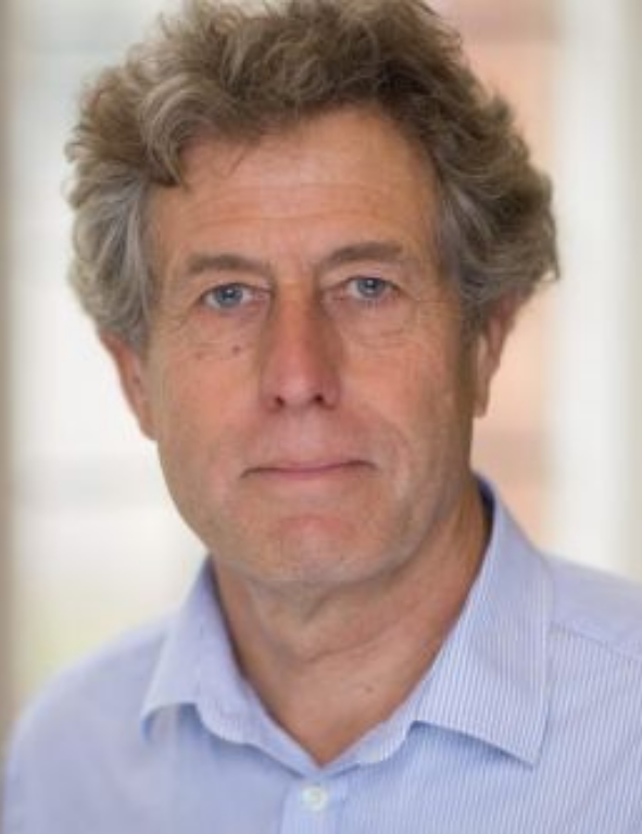 A man in a blue shirt with curly hair.