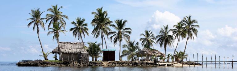 A small island with palm trees and a hut.