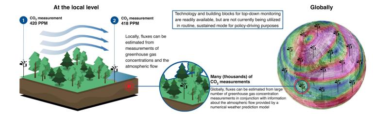 A diagram showing the different stages of a forest.