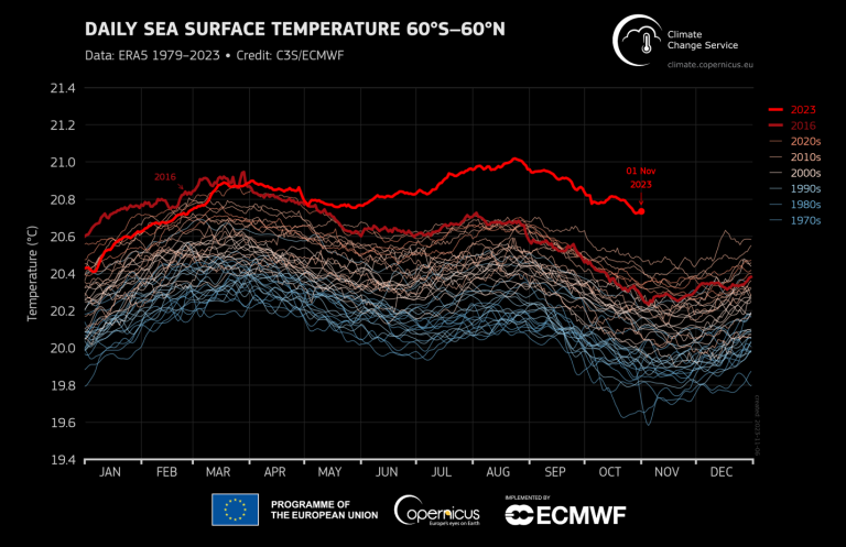 Daily sea surface temperature