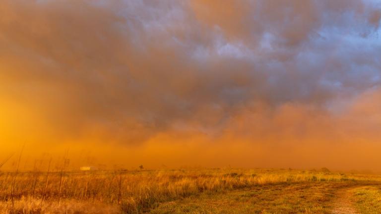 A field with tall grass under a dramatic, cloudy sky casts an orange hue, suggesting an approaching storm or sunset.