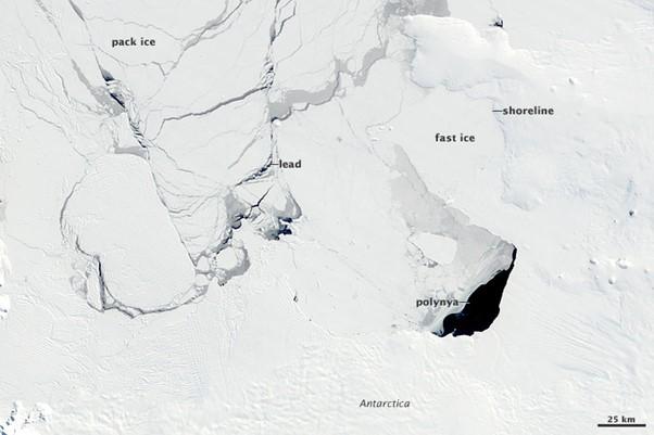 Satellite image of Antarctic ice formations showing pack ice, fast ice, a lead, a polynya, and the shoreline. A scale marker indicates a distance of 25 km.
