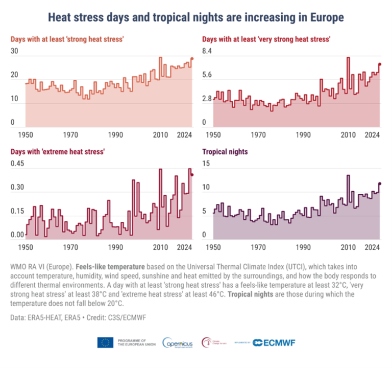 Bar chart showing an increase in heat stress days and tropical nights in Europe from 1979 to 2022. Days with extreme heat and strong heat stress, as well as tropical nights, are rising.