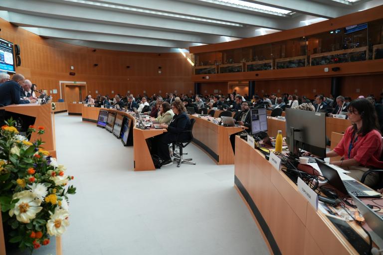 A large conference room filled with people seated at desks, some using laptops, during a formal meeting or event; flowers are visible in the foreground.