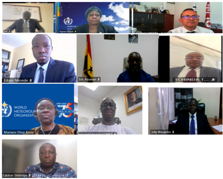 A virtual meeting with eleven individuals, each appearing in their own video call window, with various backgrounds including offices and organizational logos.