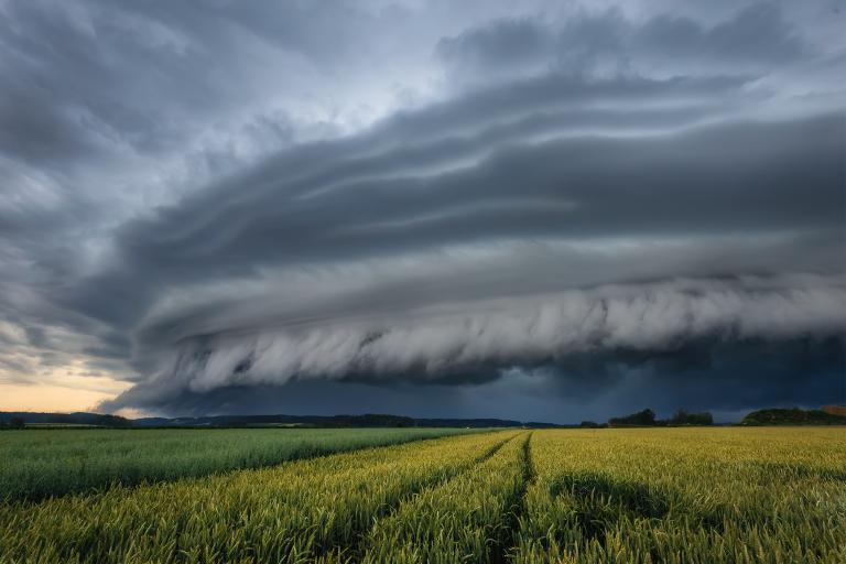 Dark, swirling storm clouds loom over a green and yellow field, with a visible path leading through the crops and dramatic lighting in the sky.