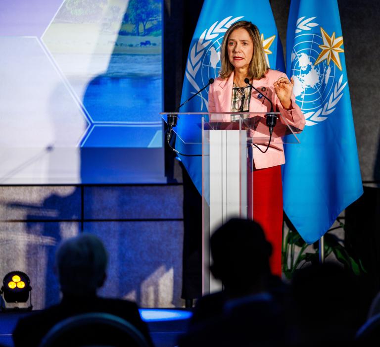A woman stands at a podium speaking, with two blue flags displaying a world map emblem behind her, and an audience seated in the foreground.