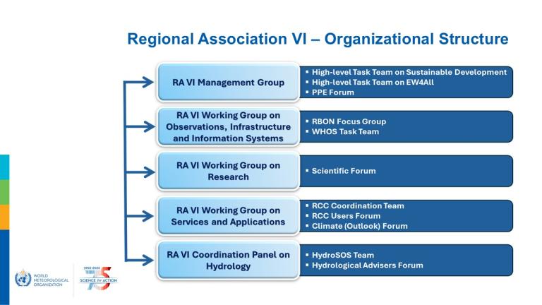 A flowchart showing the organizational structure of Regional Association VI, listing five main groups and their associated forums and task teams.