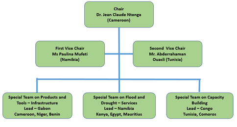 Organizational chart with Chair, two Vice Chairs, and three Special Teams, each with regional leads and focus areas such as infrastructure, drought services, and capacity building.