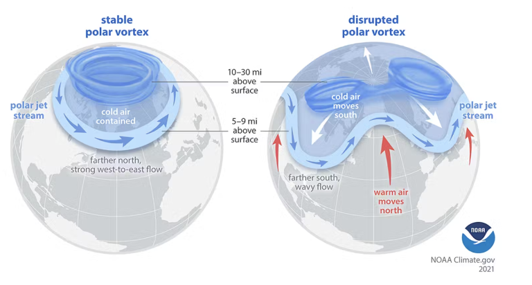 Diagram compares a stable polar vortex with contained cold air to a disrupted vortex where cold air moves south and warm air moves north, affecting the polar jet stream’s flow.