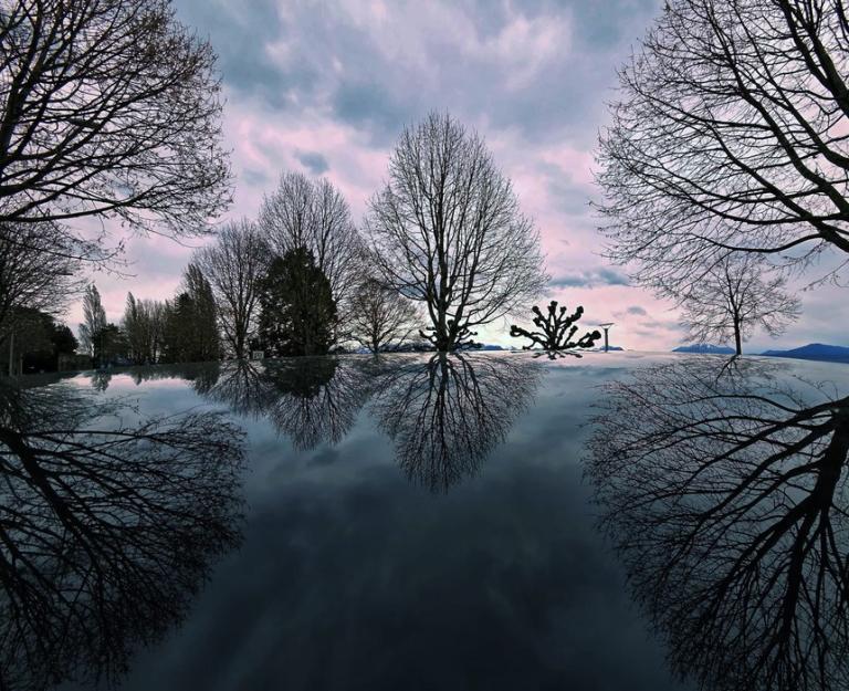 Leafless trees reflected on a still surface under a cloudy sky, creating a symmetrical, mirrored landscape with bare branches and distant mountains.