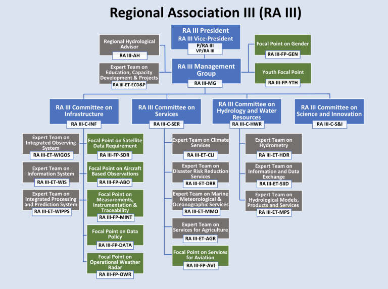 Organizational chart of Regional Association III with color-coded committees, focal points, expert teams, and management roles arranged in structured boxes.